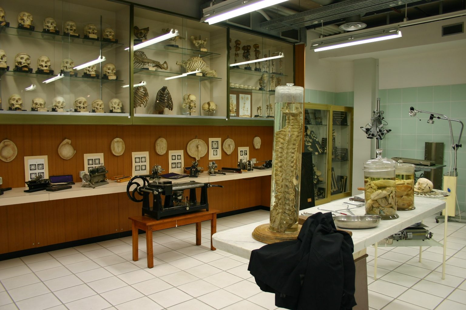 Museo%20Anatomico%2C%20Siena%2C%20Italy%20-%2010.JPG